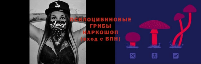 наркотики Абинск