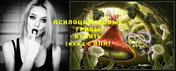 крисы Алексин