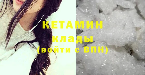 крисы Алексин